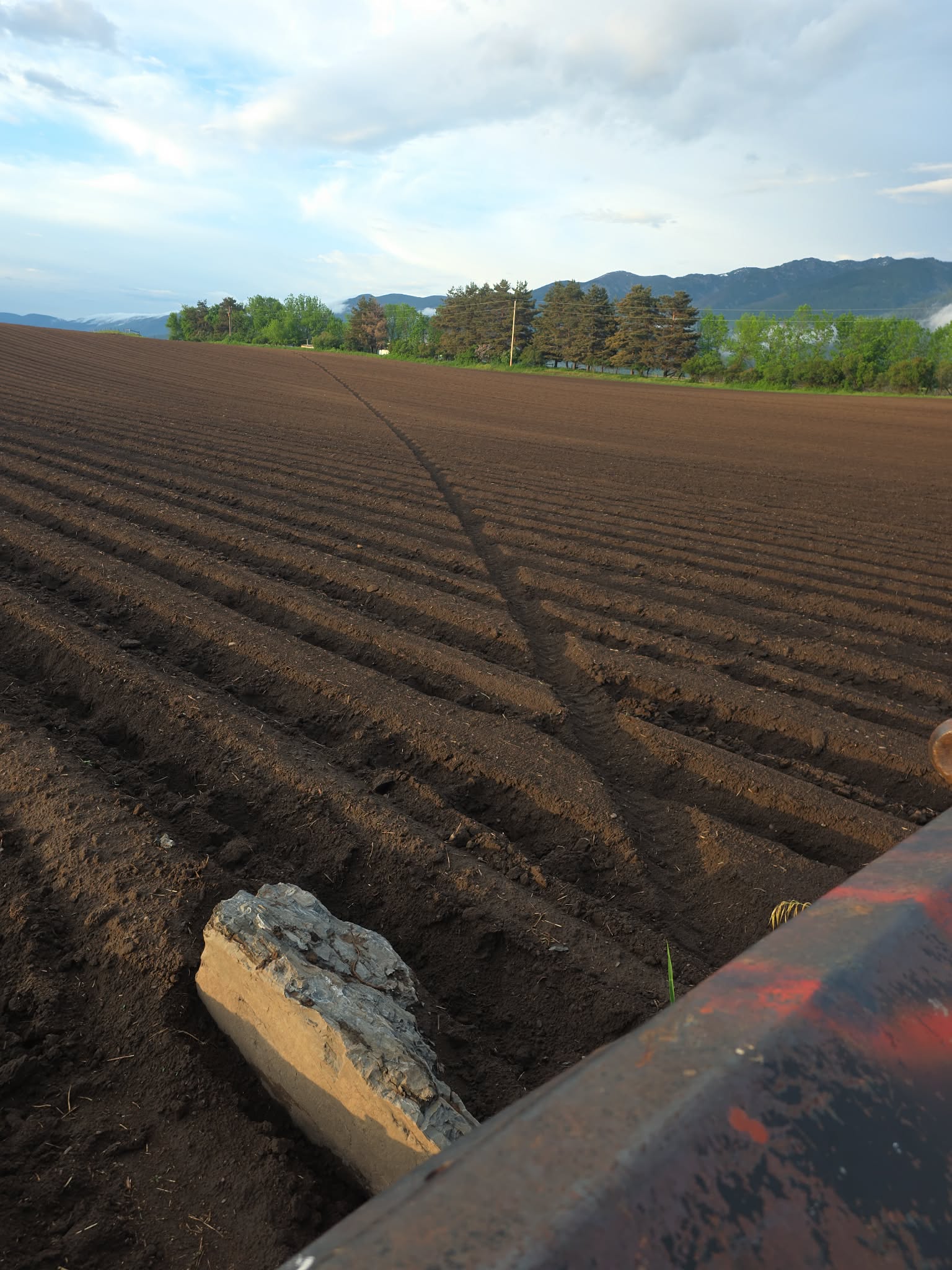 Freshly worked Montana soil where hay is grown